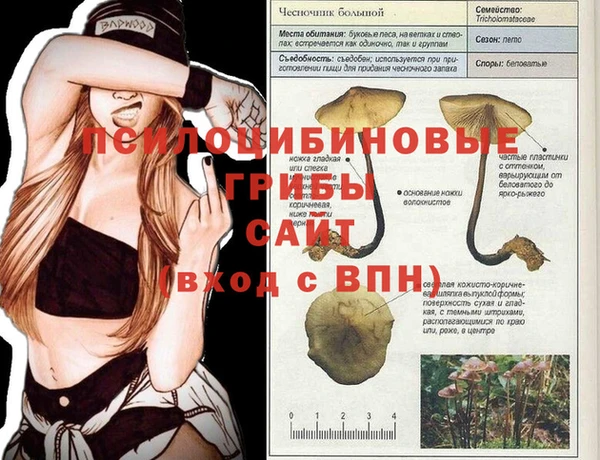 мефедрон Абаза