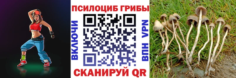 дарнет шоп  Бирюсинск  мега   Галлюциногенные грибы Cubensis 